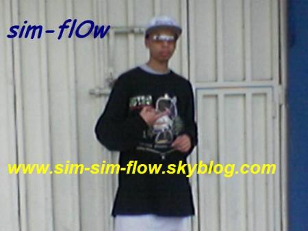 sIm-FlOw